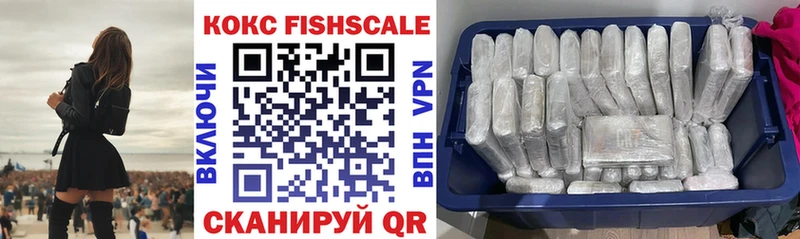 Купить закладки  Велиж  Кокаин Fish Scale 