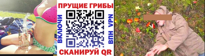Купить закладки  Велиж  Галлюциногенные грибы GOLDEN TEACHER 